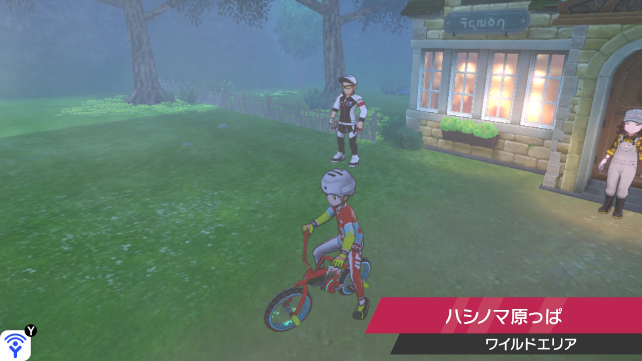 ポケモン剣盾、ソード＆シールド、高個体値のメタモンの入手方法