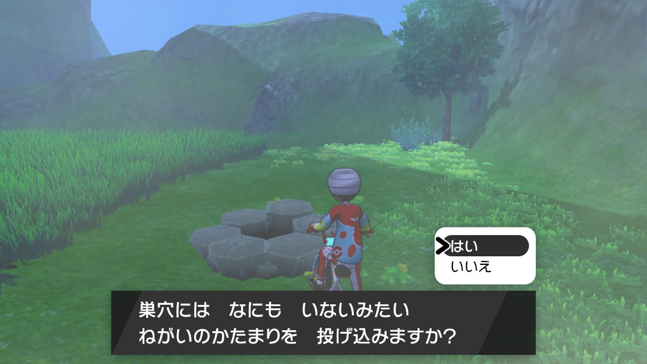 ポケモン剣盾、ソード＆シールド、高個体値のメタモンの入手方法