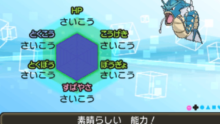 ポケモン個体値、確認方法