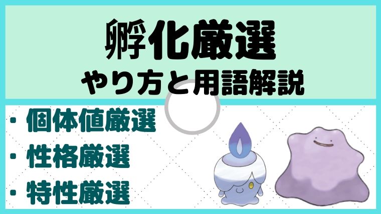 孵化厳選、個体値厳選、性格厳選、特性厳選とは？やり方解説【ポケモン初心者講座】